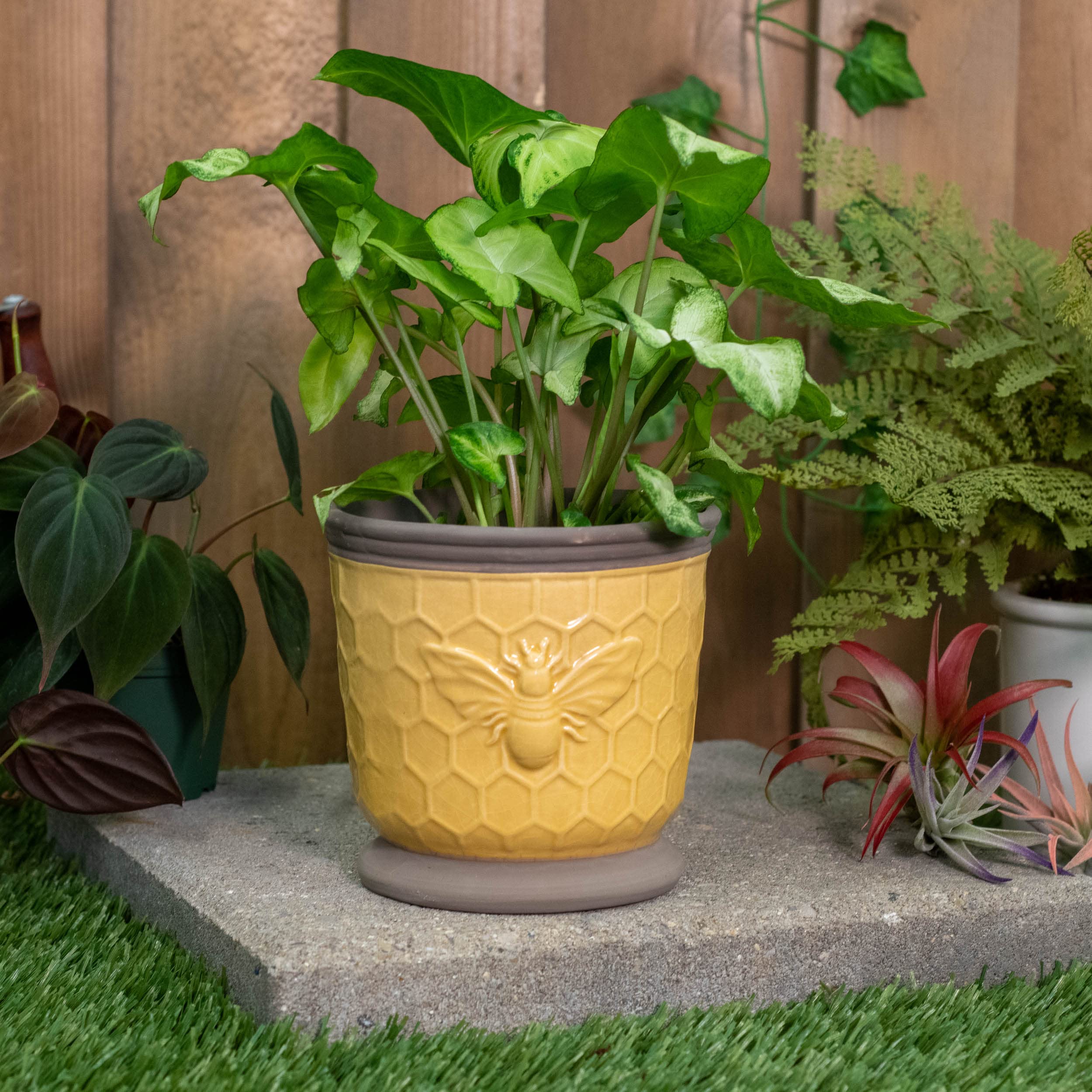 Amazon.com : Napco 21881 Industrial Vintage-Honeycomb Bee Ceramic